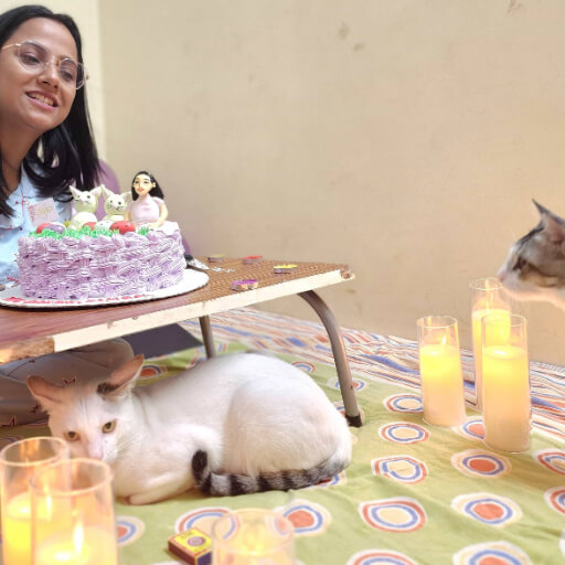 Final Celebration: Their last shared birthday celebration before Milky's unfortunate passing due to health complications.