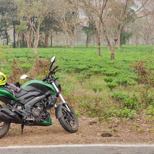 Paneri Tea Estate: A serene stop amidst lush greenery, where the scent of tea leaves mingles with the crisp mountain air.