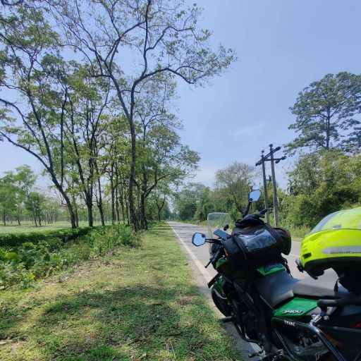 Another view of the Paneri Tea Estate.